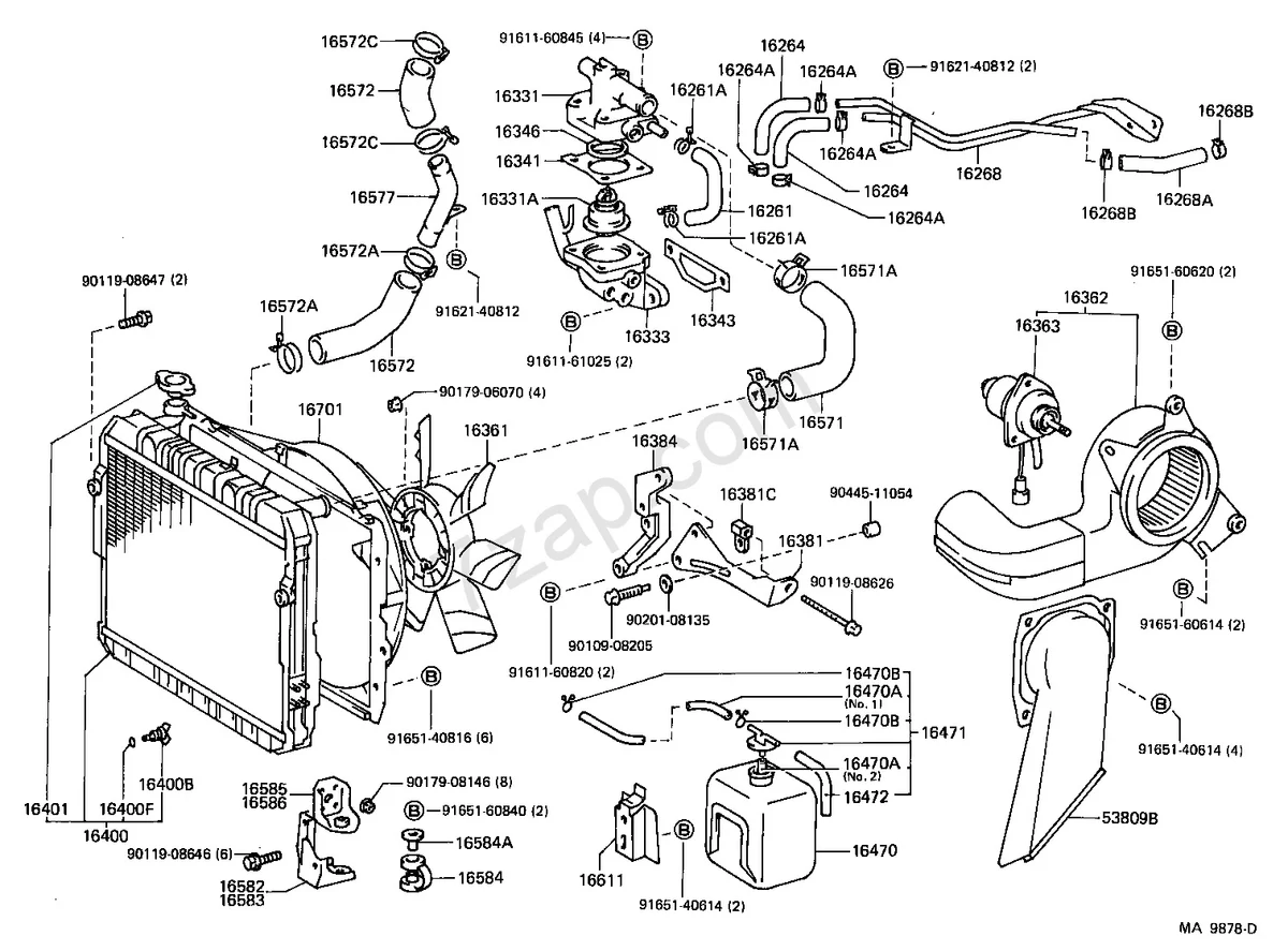 Water pump and belts