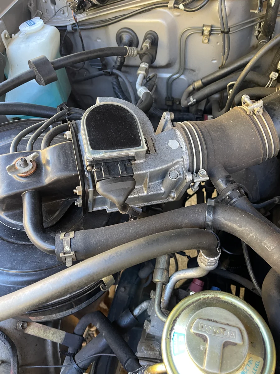 Water pump and belts