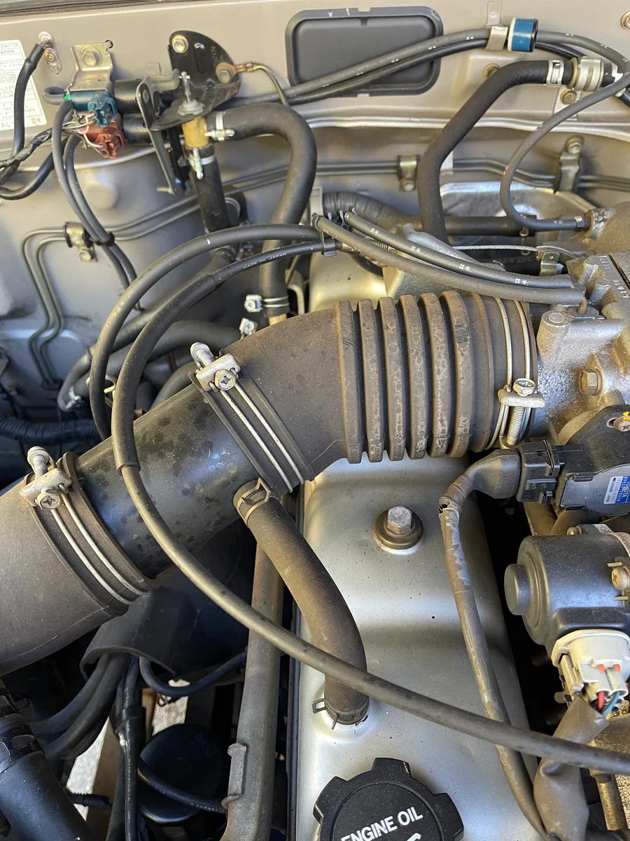 Water pump and belts