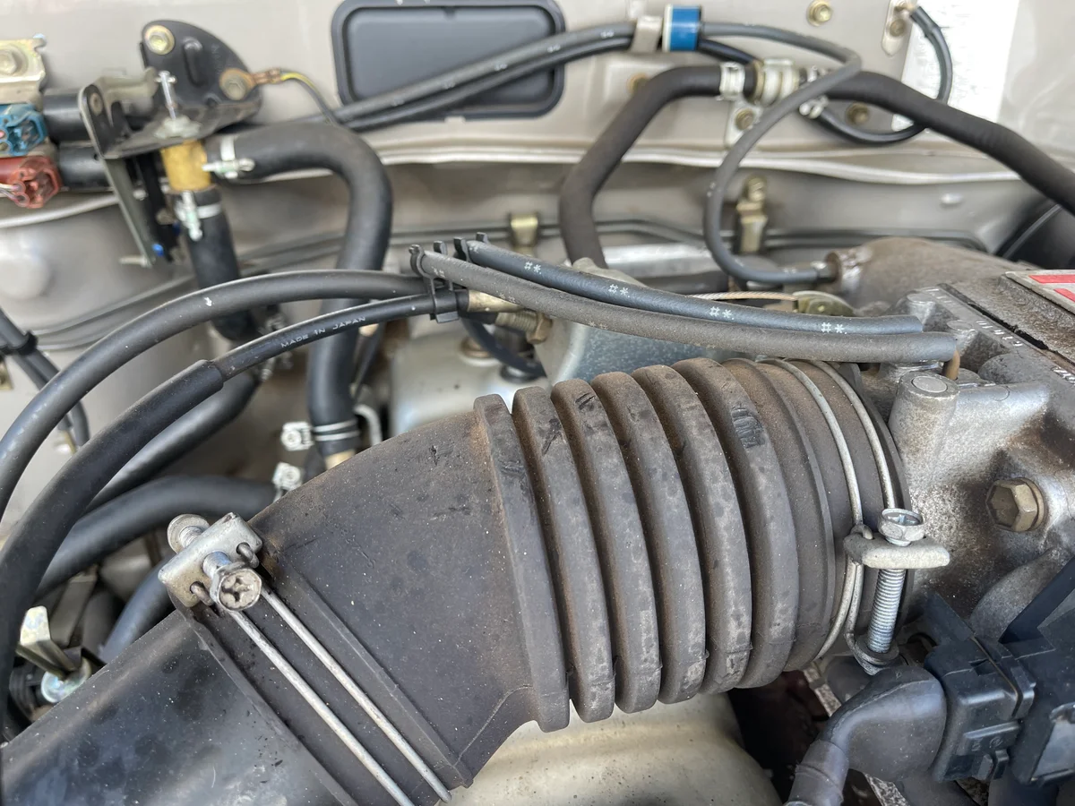 Water pump and belts