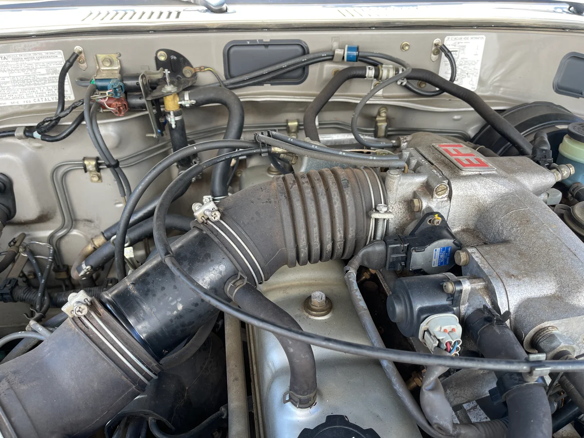 Water pump and belts