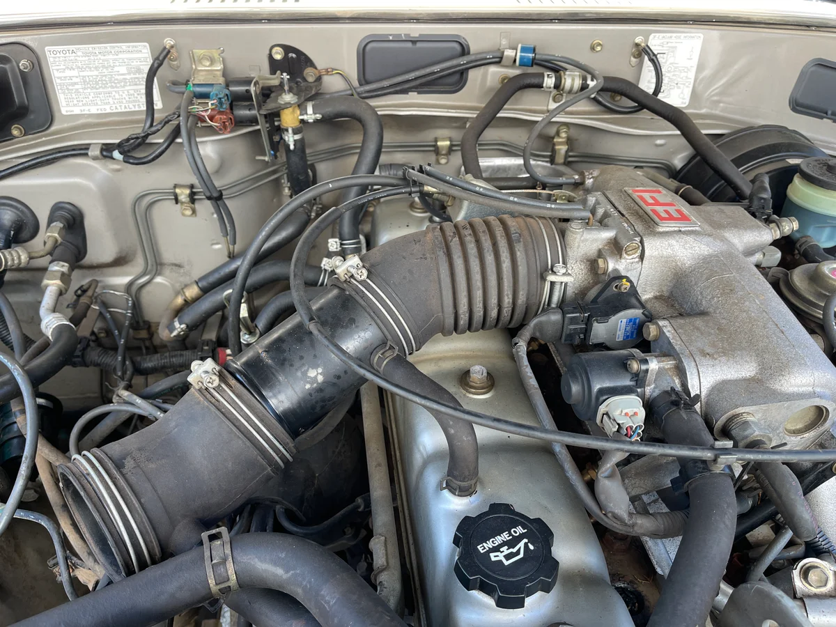 Water pump and belts