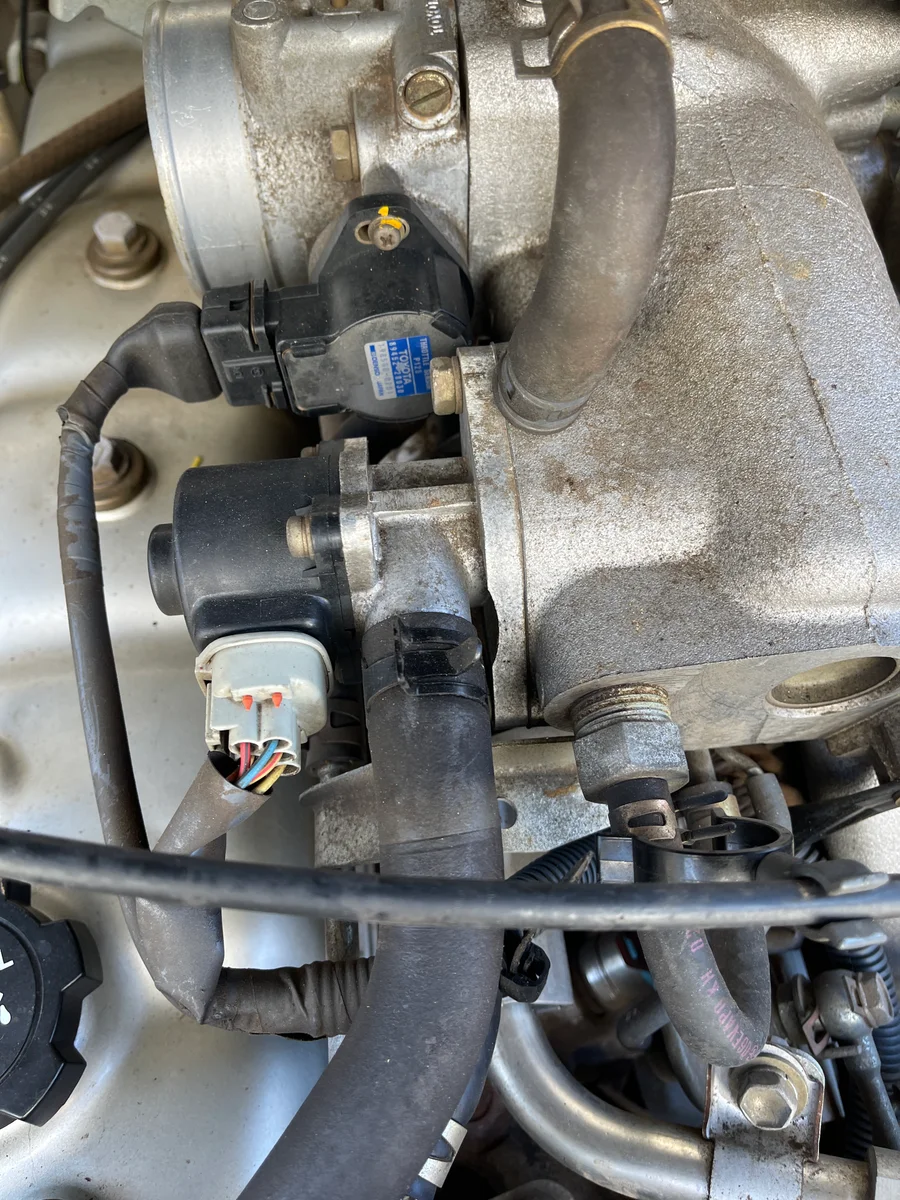Water pump and belts